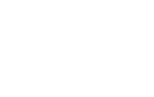 PJ Harlow Online Store